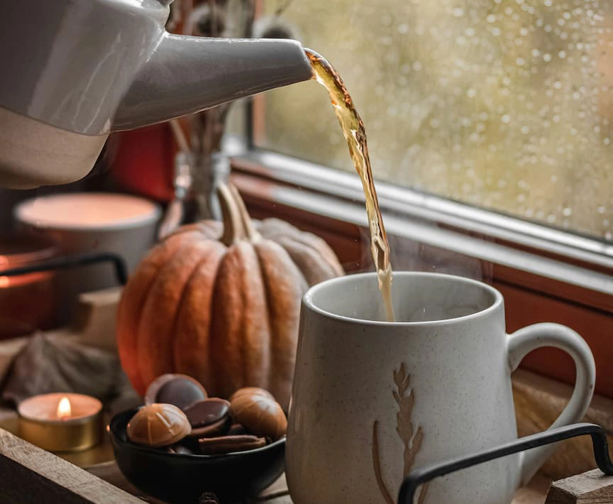 service d'une infusion naturelle dans un décor cocooning