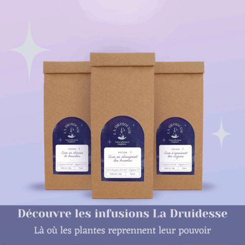 Sachets de tisane La Druidesse, infusions naturelles pour bien préparer une tisane